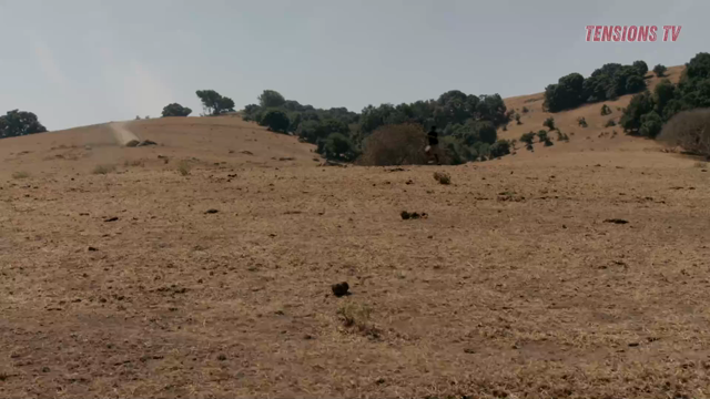 Hunting Season Online